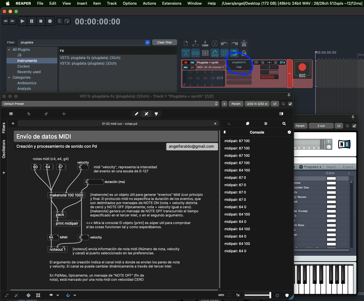 plugdata como plugin en Reaper